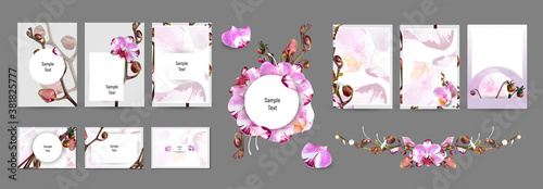 Set of floral botanical design, for poster, card, invitation, flyer, cover, banner, placard, brochure. Minimal modern style frame, composition for text with decorative violet and pink orchid elements.