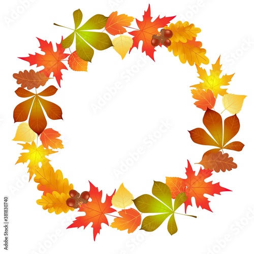 autumn leaves  circle background  illustration  vector 