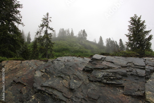 Schiefer-Gestein mit Bäumen bei Regen und Nässe mit Wolken und Nebel in den Alpen
