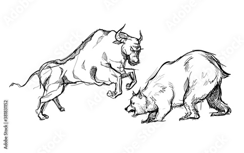 Bear versus bull strong fighting market stock trend symbol hand drawn sketches white isolated background