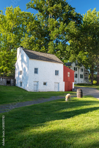 Shep graze in a peaceful, idyllic colonial village scene at Hopewell Furnace National Historic Site. White stone cottage close up and ethereal summer golden hour scene.