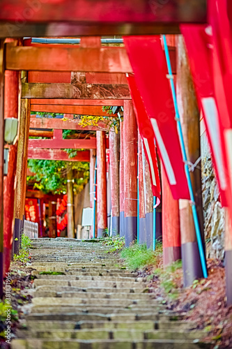 Japan Traveling. Traditional Red Torii Gates with Walkway at Koyasan Mountain Shrine in Japan in Fall.