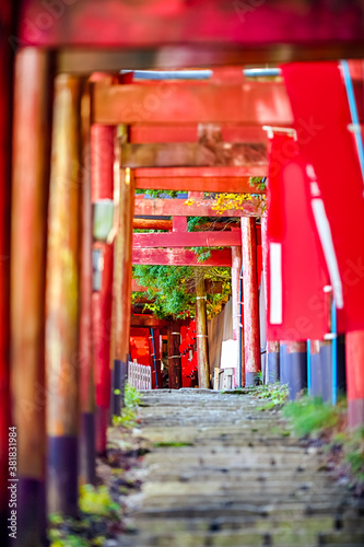 Traditional Red Torii Gates with Walkway at Koyasan Mountain Shrine in Japan in Fall.