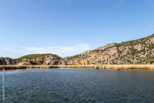 Dalyan river is populer tourist destination in Turkey. River hosts the caretta caretta and many birds and fishs.  © ozgur