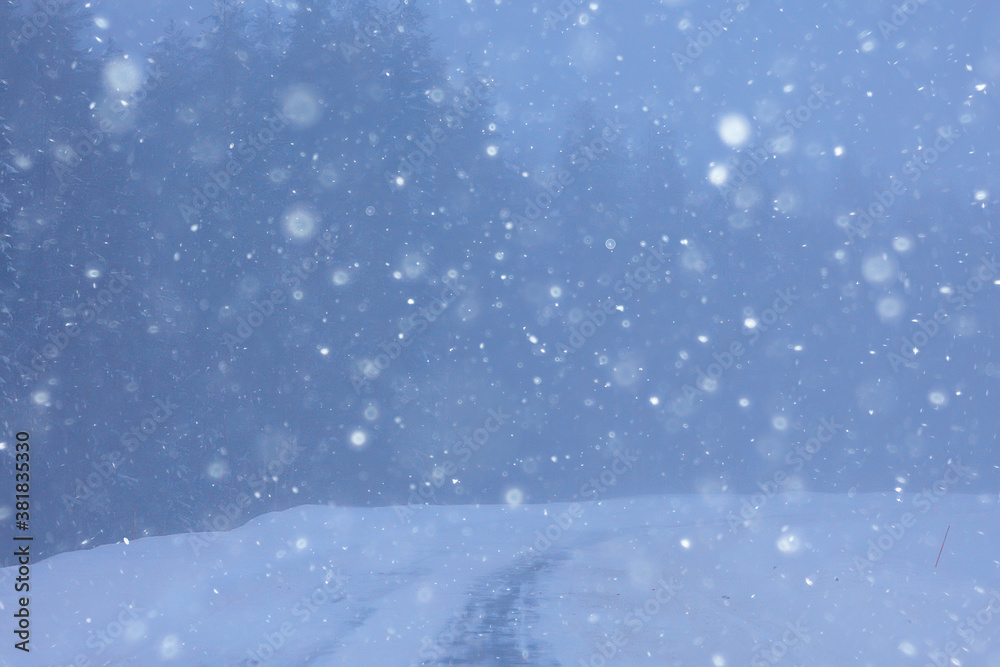 snow and fog on the winter road landscape / view of the seasonal weather a dangerous road, a winter lonely landscape snow and fog on the winter road landscape / view of the seasonal weather a dangerous road, a winter lonely landscape