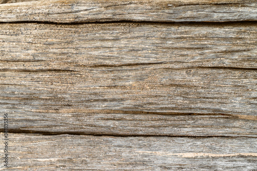 Dirty old blank brown bark texture wood plate with copy space. Tree surface texture.