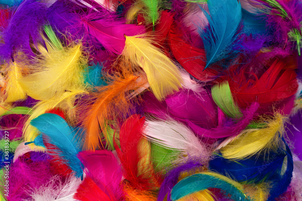 Colorful feather background. Colorful feather background.