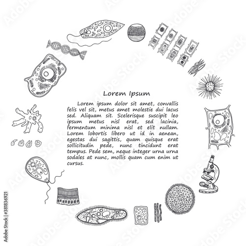 Illustration with hand drawn biology images and other elemets. Science collection. Vector.