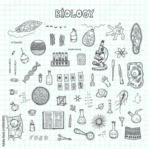 Illustration with hand drawn biology images and other elemets. Science collection. Vector.