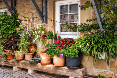 Beautifully arranged plants in front of the window of an old house © rhoenes