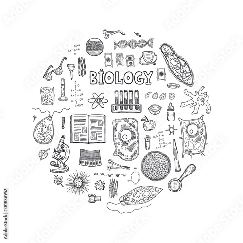 Round composition with hand drawn biology images and other elemets. Science collection. Vector doodlle illustration