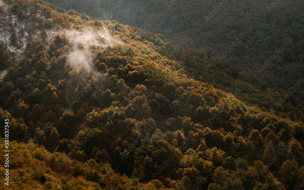 Beech forest in autumn. Golden leaves of the wild woods (Carpathian, Bieszczady mountains). A magical place in a magical season. Golden, colorful trees in the morning sun. Beech forest in autumn. Golden leaves of the wild woods (Carpathian, Bieszczady mountains). A magical place in a magical season. Golden, colorful trees in the morning sun.