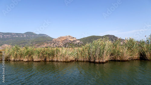 Dalyan river is populer tourist destination in Turkey. River hosts the caretta caretta and many birds and fishs. 