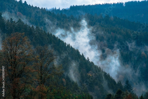Fog lingers in the mountains of the Black Forest, Germany, in early May