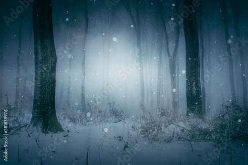 snow falling in magical winter forest, fantasy landscape