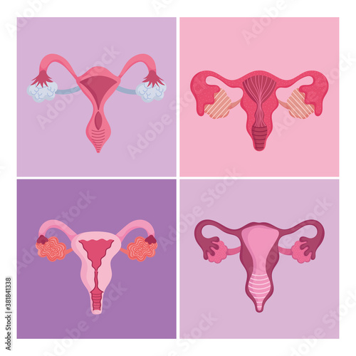 female human reproductive system, set different organs, women health concept