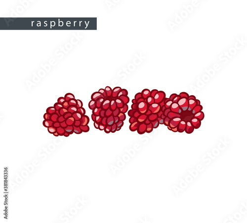 sketch_raspberry_four_berries