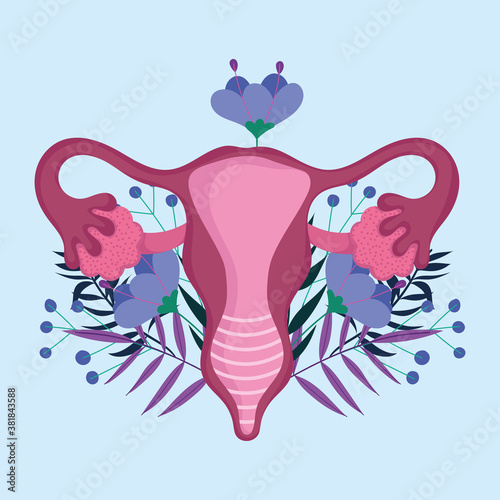 female human reproductive system, flower stylized flat