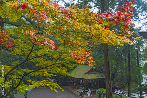 奈良 大神神社 境内風景