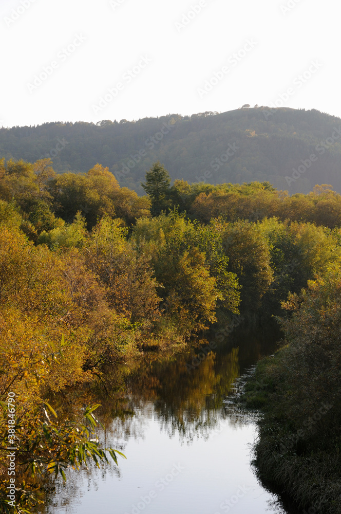 Fototapeta premium 紅葉の川