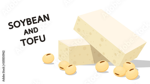 Tofu and Soybean vector. free space for text. ingredient vector.