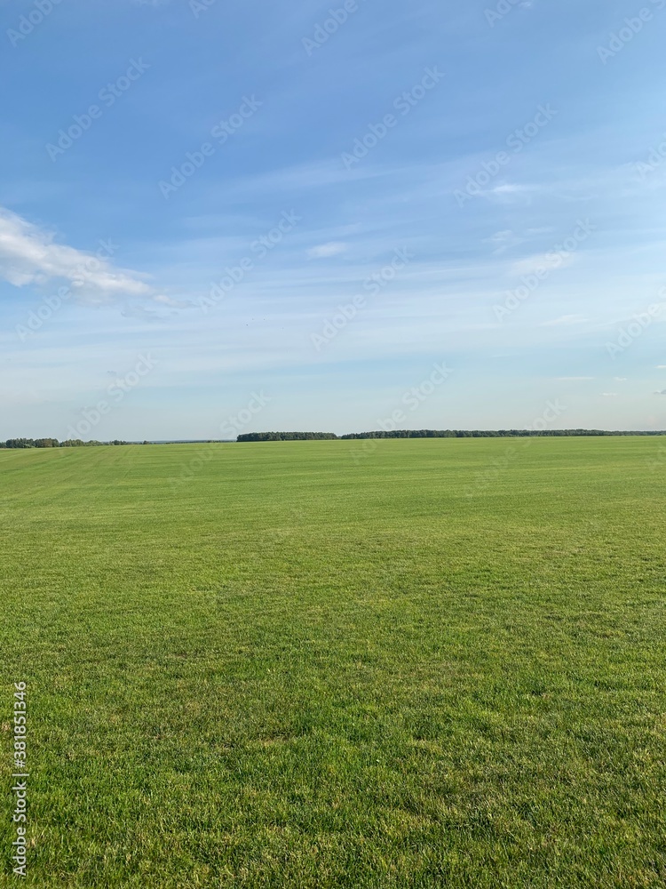 Obraz premium field and blue sky