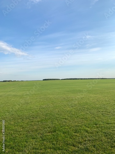 green field and blue sky