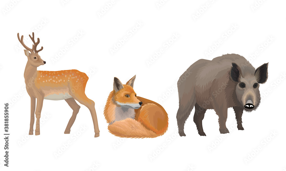 Wild Mammals Like Deer and Fox as Forest Habitant Vector Set