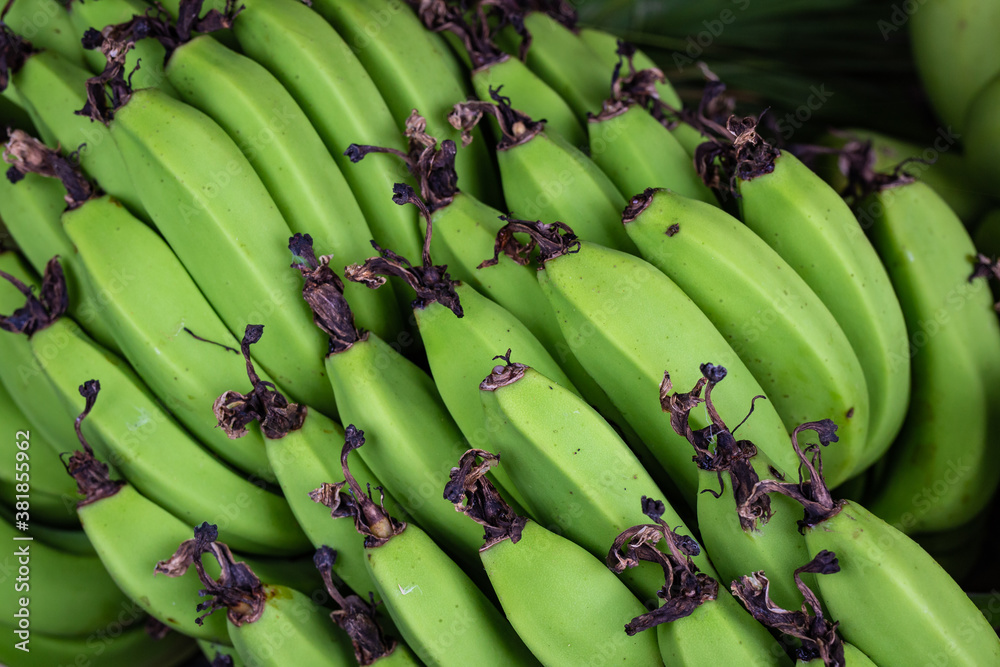 bunch of raw green bananas