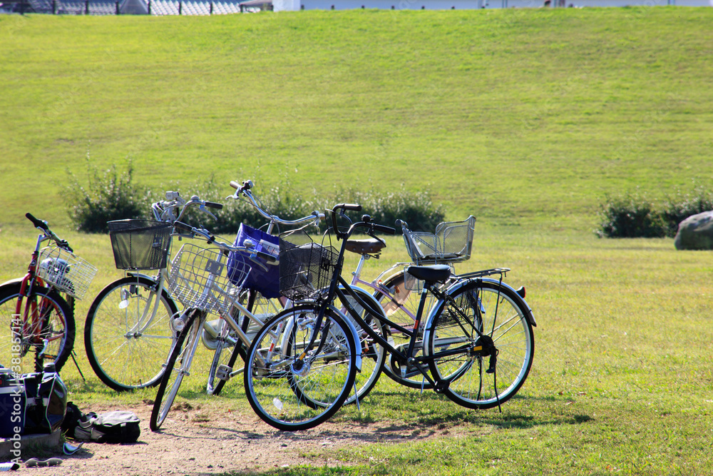 Fototapeta premium 自転車