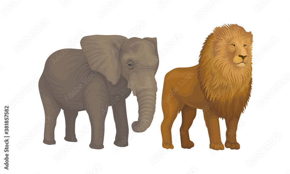 Elephant with Long Trunk and Lion with Mane as African Animal Vector Set Elephant with Long Trunk and Lion with Mane as African Animal Vector Set