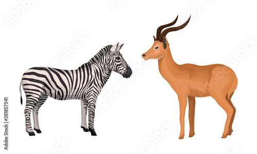 Striped Zebra and Antelope with Horns as African Animal Vector Set