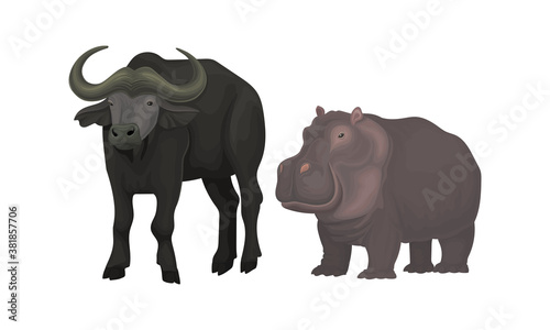 Horned Buffalo and Hippo as African Animal Vector Set