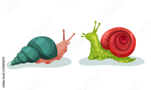 Crawling Snails as Shelled Gastropod with Coiled Shell Vector Set
