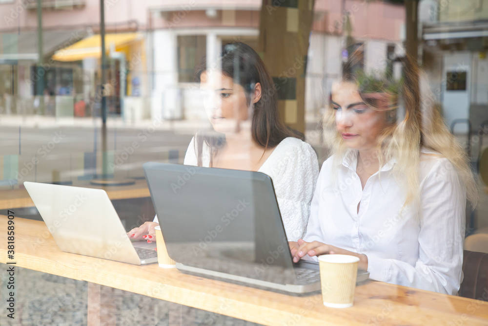 Two focused women working indoors behind window. Blonde and brunette ladies using laptops, sitting at table and watching trends via device. Communication, digital technology and teamwork concept Two focused women working indoors behind window. Blonde and brunette ladies using laptops, sitting at table and watching trends via device. Communication, digital technology and teamwork concept