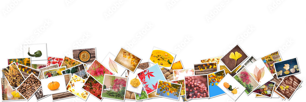 Collection of fall pictures isolated on white panoramic background (author's own work). Autumn web banner