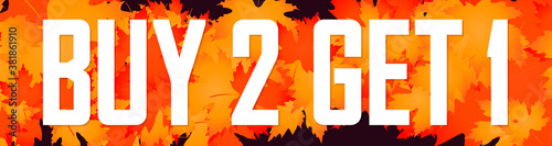 Buy 2 Get 1 Free, Autumn sale web banner design template, Fall discount horizontal poster, vector illustration