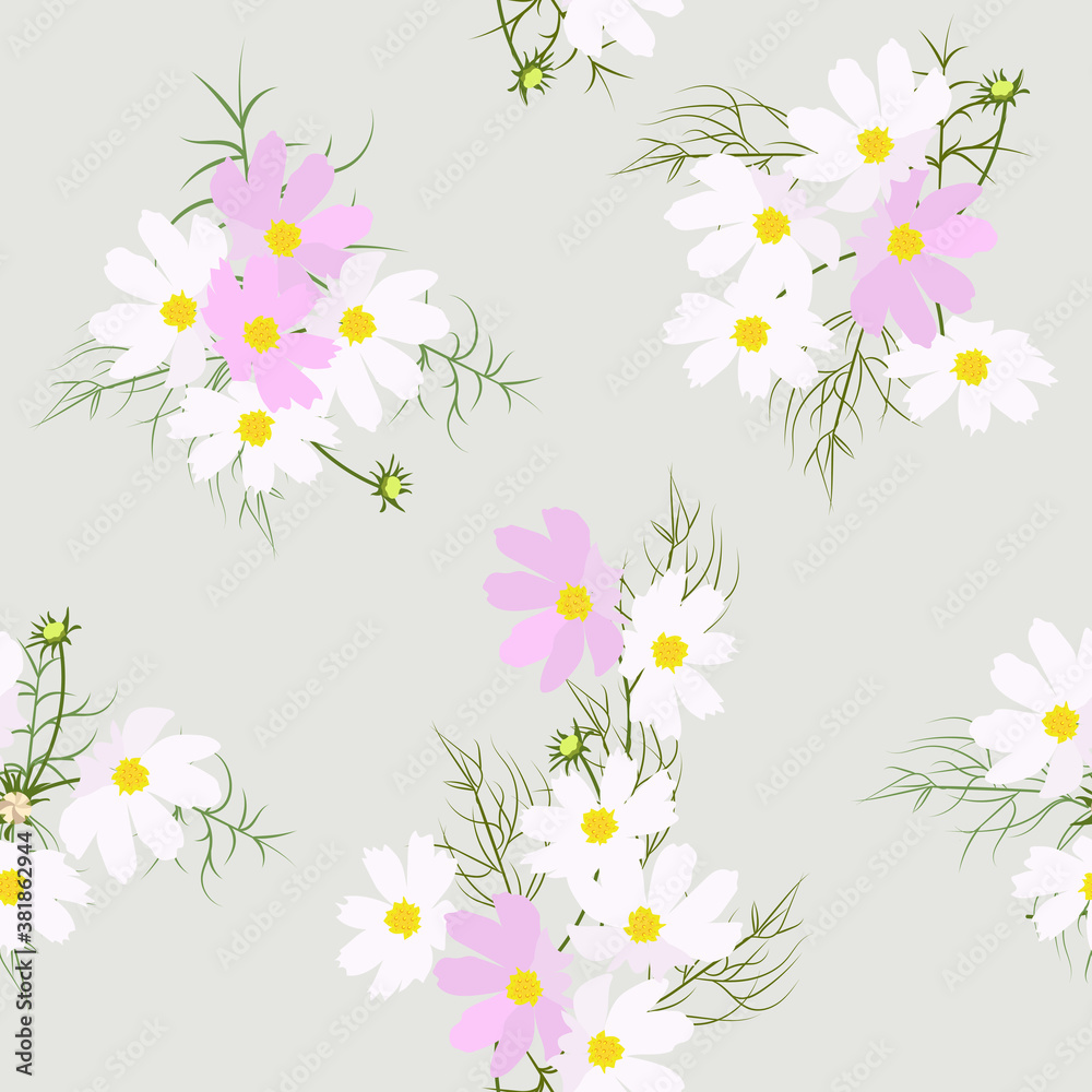 Seamless vector illustration with flowers of kosmei