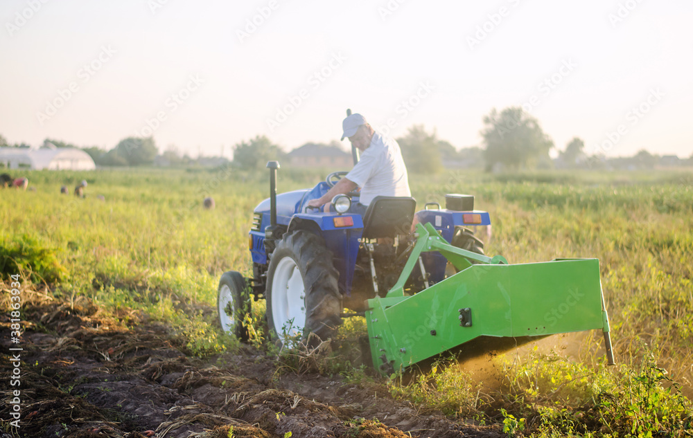 Obraz premium Farmer on a tractor digs out potatoes from soil. Extract root vegetables to surface. Farming and farmland. Simplify speed up work with technology and machines. Harvesting potatoes in autumn.