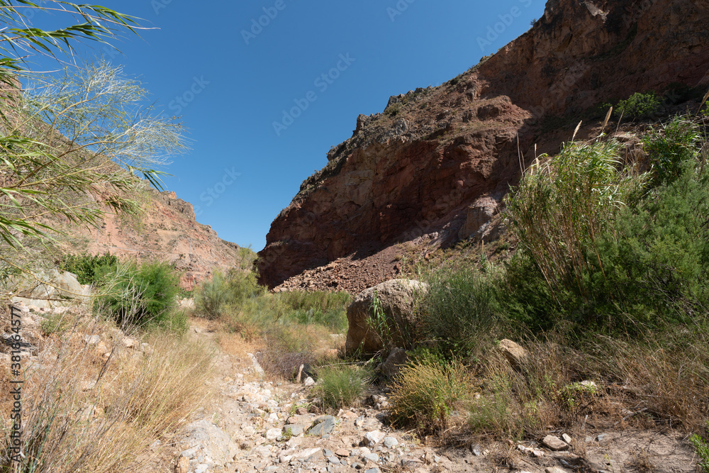 Fototapeta premium road between the mountains in southern Spain