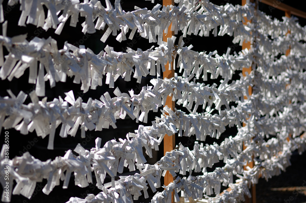 Obraz premium おみくじ