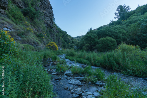 abundant vegetation in a river in southern Spain