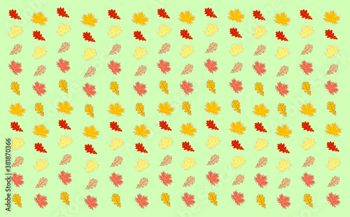 Fototapeta Naklejka Na Ścianę i Meble -  Vector pattern of autumn maple and oak leaves in different shades of yellow, orange and brown on green background