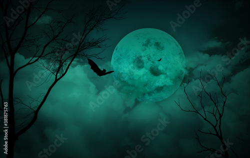 Halloween concept; Forest horror background with full moon and dead trees in the night sky.