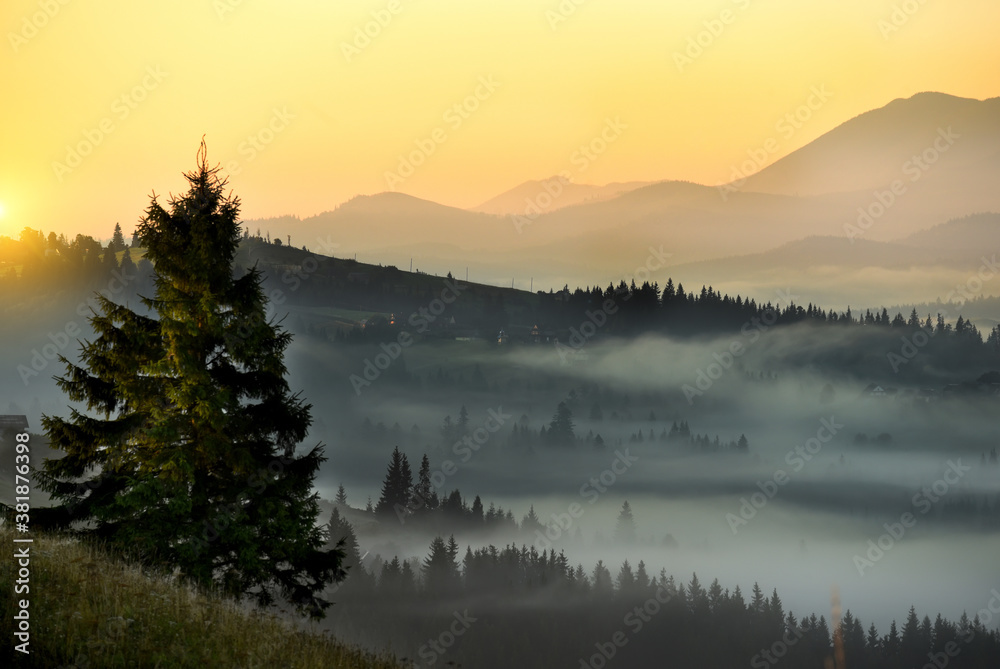Morning mountain landscape. View of green mountains and valleys in the fog. 
