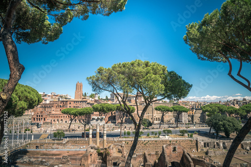 View of Rome with pines in foreground and ancient ruins of fori imperiali in background. Skyline of Roma, italian capital, in a summer sunny day. Postcard from italy, roman architecture and blue sky photo