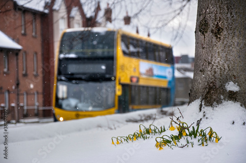 Canvas Print Snow storm in Ireland.