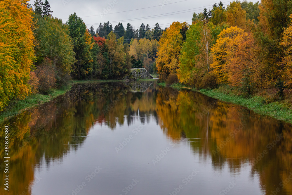 autumn in the forest