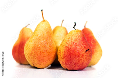 forelle red and yellow pears