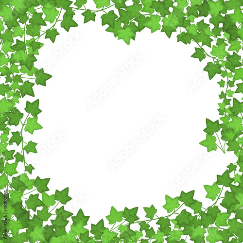 Ivy Green Leaves Frame or Border. Vector